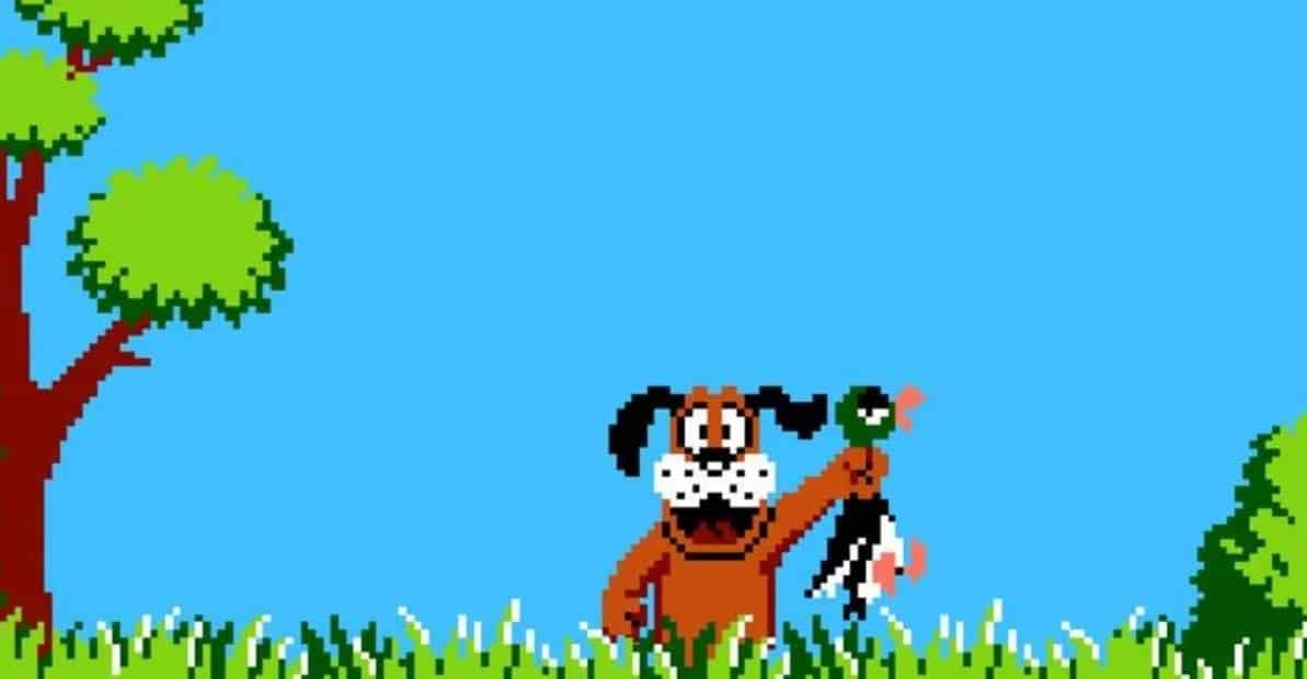 Duck Hunt
