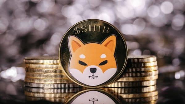 shiba inu kripto
